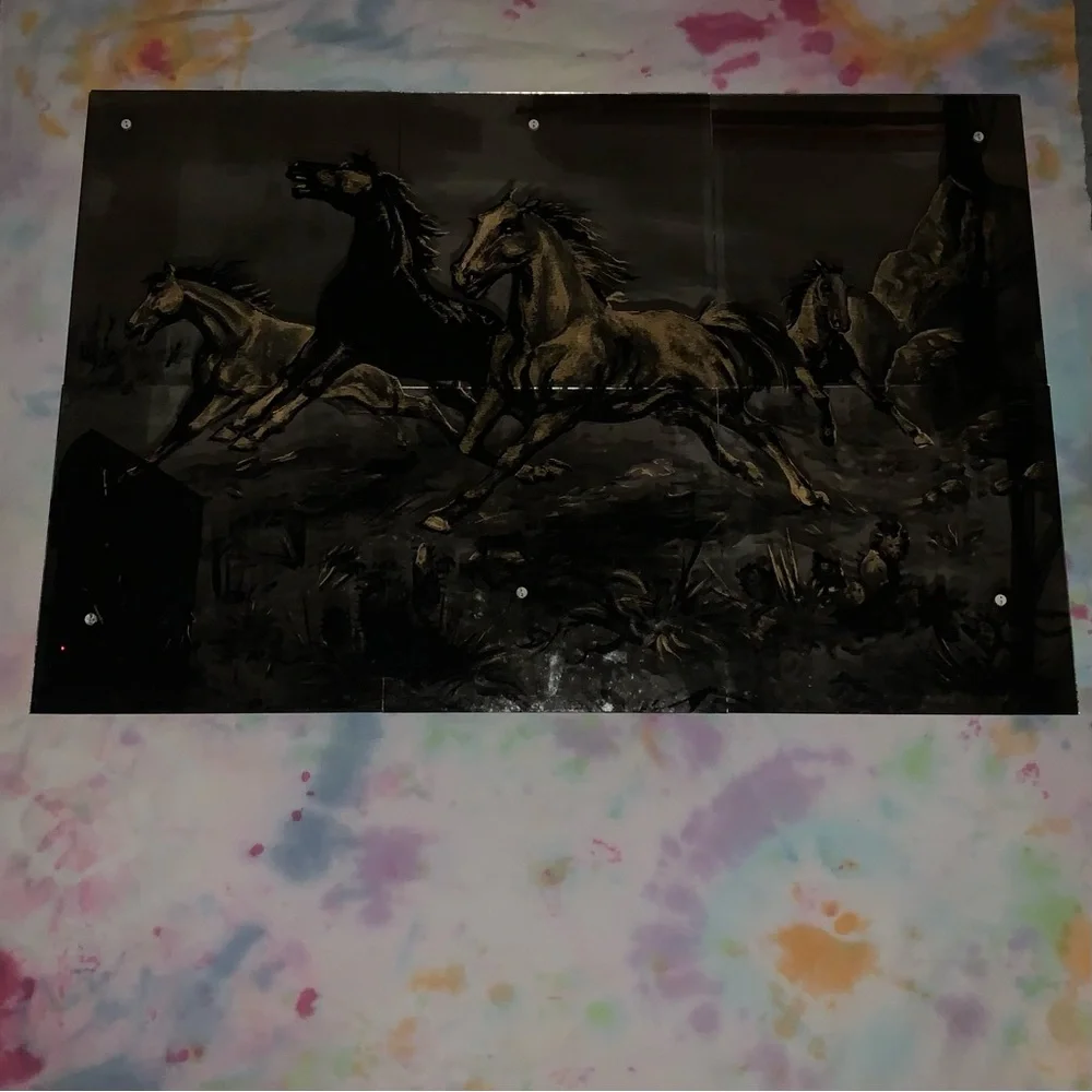 Horse Mirror Mirro-Scenes 508 Stallions